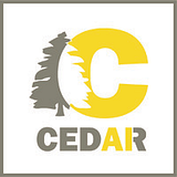 Cedar.AI Inc logo