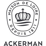 ACKERMAN TECHNOLOGIES LLC logo