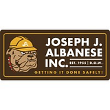 ALBANESE D AND S INC logo