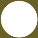 ALPHAVISTA SVCS INC logo