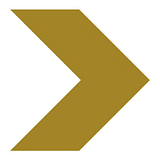 AMSOL INC logo