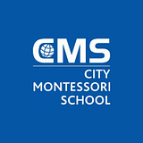 Anuree Kamini, Inc (DBA: Montessori School) logo