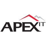 Apex IT Services, LLC logo
