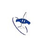 AVIATION INVENTORY RESOURCES INC logo