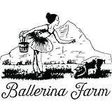Ballerina Inc. logo