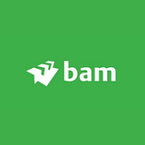 BAM Reinsurance LLC logo
