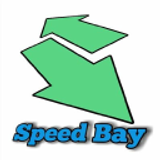 Bay Speed Aerokit LLC logo