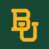 BAYLOR TECHNOLOGIES LLC logo