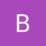 Bayser, Inc. logo