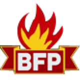 Beaconfire Solution Inc. logo