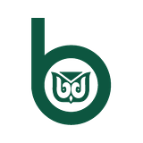 BERKLEY INSURANCE COMPANY logo