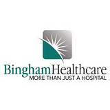 BINGHAM CONTRACTING, INC logo