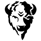BISON DRYWALL, INC. logo