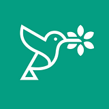 BLOOMING CLOUDS LLC logo