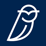 BLUE OWL CAPITAL HOLDINGS LLC logo