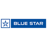 BLUE STAR INFOTECH AMERICA INC logo