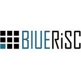 BlueRISC Inc logo