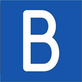 BLUESNAP, INC. logo