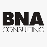 BNA LLC DBA BNA CONSULTING logo