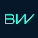 BorgWarner Turbo Systems LLC logo