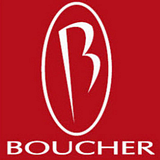 Boucher Design Group, LLC logo