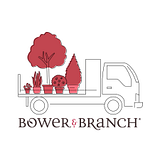 BOWER STUDIOS INC. logo