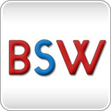 BRANDSCAPES WORLDWIDE CONSULTANCY LLC logo