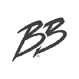 BRICK BODIES FITNESS SERVICES INC logo