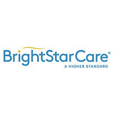 BRIGHTSTAR US, INC. logo