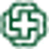 Bronson Methodist Hospital logo