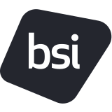 BSI Consulting Services, Inc logo