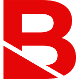 Budlong & Associates, Inc. logo