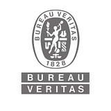 Bureau Veritas Holdings, Inc. logo