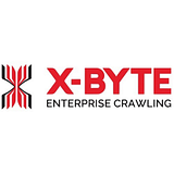 Byte Link Systems, Inc. logo