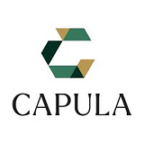 Capula Investment US LP logo