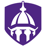CAROLINA CHIROPRACTIC logo
