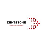 CENTSTONE SERVICES LLC logo