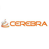 CEREBRA CONSULTING, INC. logo