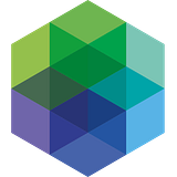 CFE MANAGEMENT LLC logo