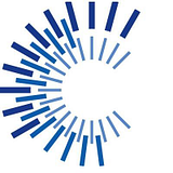CFO SOLUTIONS LLC logo