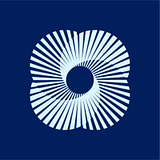 CHAMBER IT INC logo