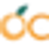 Children's Hospital of Orange County logo