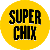 Chix and Bix LLC logo