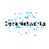 CODENETWORKZ, LLC logo