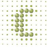 CONEXUS SOLUTIONS INC logo