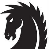Dark Horse Consulting Inc. logo