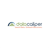 DATACALIPER LLC logo