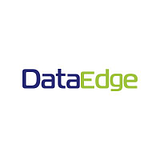 DATAEDGE CONSULTING, INC. logo