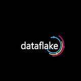 Dataflake LLC logo