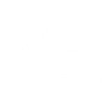 DATALINX CORPORATION logo